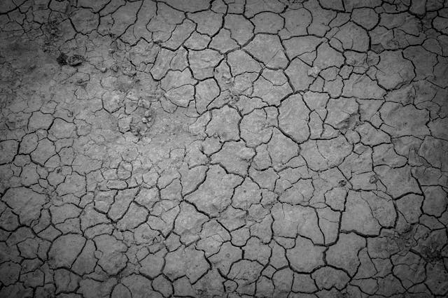 Keunggulan Struktur Baja vs Beton untuk Bangunan Industri